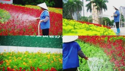 大妈给花浇水高清在线视频素材下载