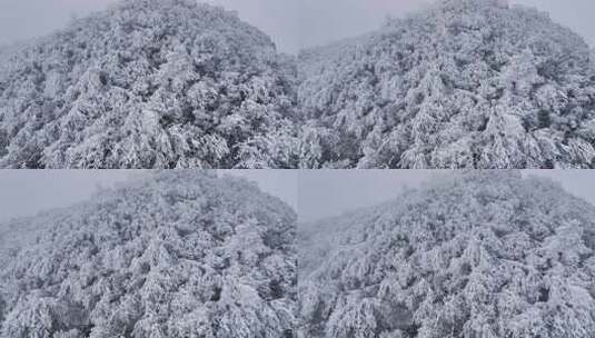 河南老君山冬季雪后云海大气航拍高清在线视频素材下载