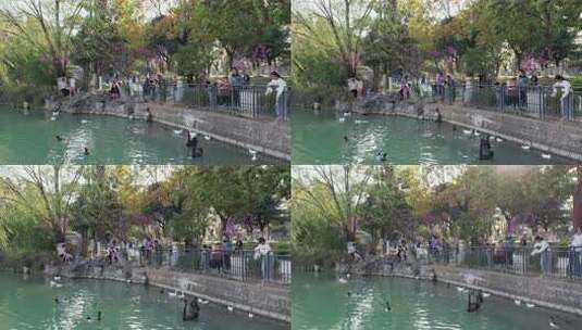 春日的安徽省合肥市徽园景区风光高清在线视频素材下载