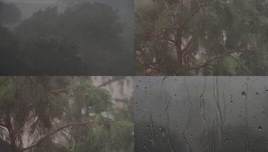 台风暴雨大雨狂风暴雨高清在线视频素材下载