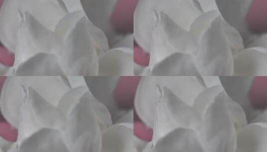 粉红色背景的白色花瓣高清在线视频素材下载