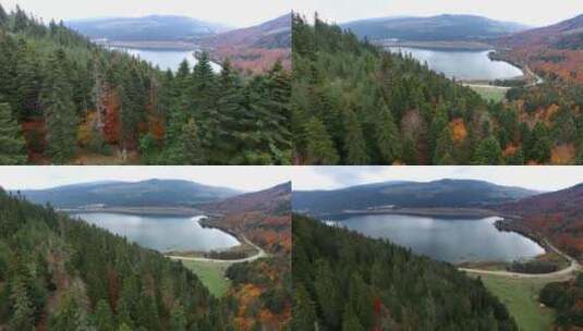 秋天的森林和湖泊景观高清在线视频素材下载