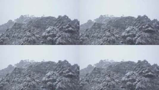 黄山 雪景 雾凇高清在线视频素材下载