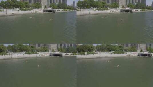 海河游泳 天津海河 航拍高清在线视频素材下载