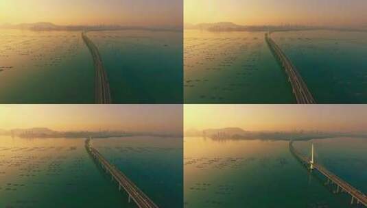 航拍深圳湾跨海大桥高清在线视频素材下载