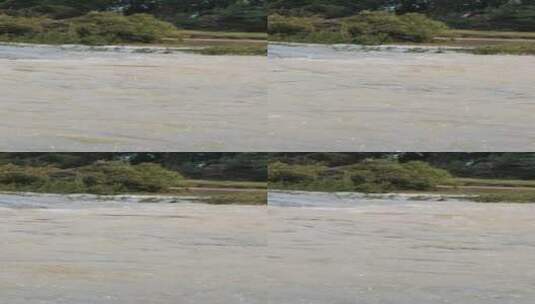 河流流水的画面高清在线视频素材下载