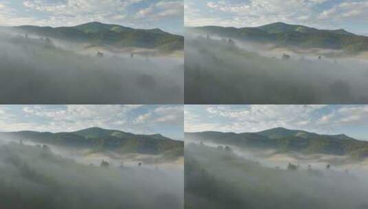 航拍森林大雾高清在线视频素材下载