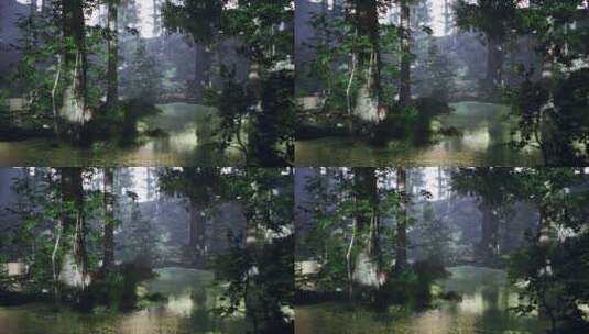湖边的森林高清在线视频素材下载