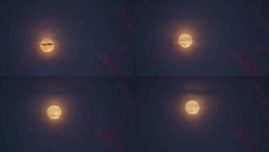 大月亮穿过云层高清在线视频素材下载