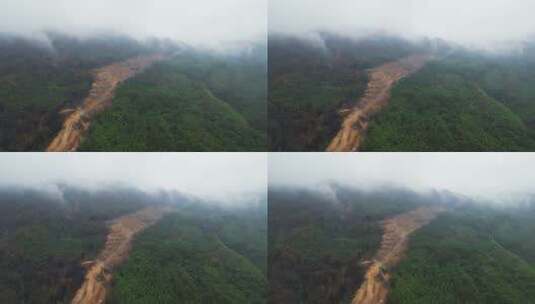 重庆山火后，北碚缙云山迎来降雨，云雾缭绕高清在线视频素材下载