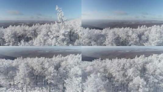 零下40度的低温航拍大兴安岭冰雪雾凇高清在线视频素材下载