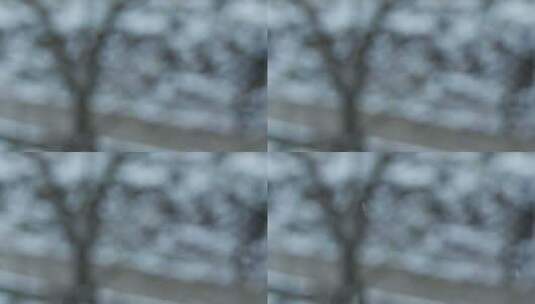 雪花下雪飘雪慢镜头升格4K实拍空镜高清在线视频素材下载