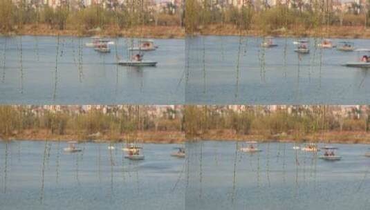 春天垂柳河边游船快乐的春游高清在线视频素材下载