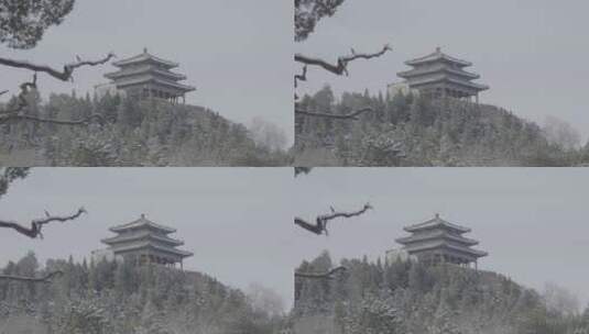 北京雪景 北京下雪高清在线视频素材下载