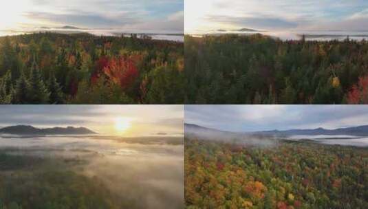 秋天清晨雾气森林丁达尔阳光日出朝阳高清在线视频素材下载