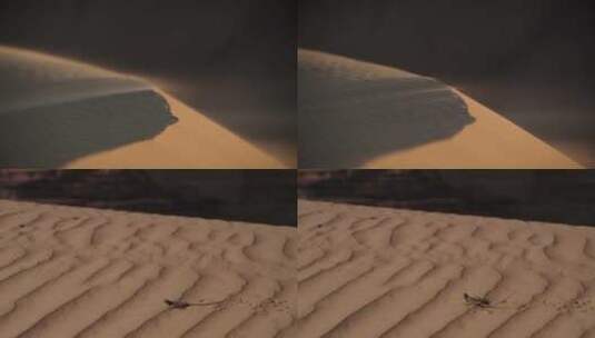 沙漠干旱荒芜绿洲西北甘肃 (1)高清在线视频素材下载