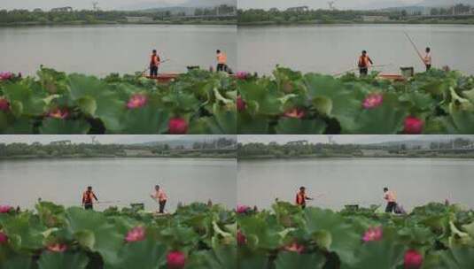 汉江水面清洁工人作业视频高清在线视频素材下载