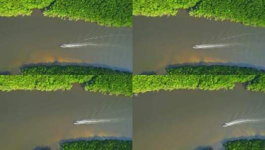 游轮在林中的湖水里划出波纹高清在线视频素材下载