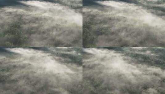 大兴安岭森林云海冷雾高清在线视频素材下载