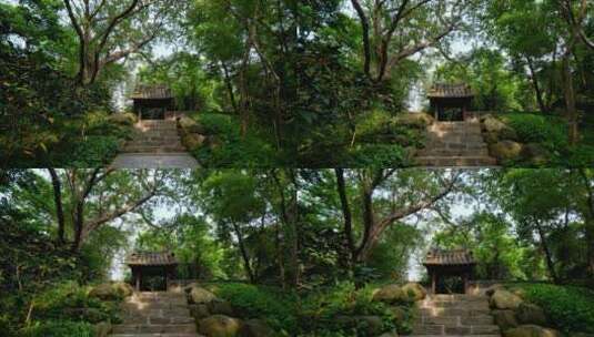 广州 越秀公园 古建筑 中式 园林 庭院 门楼高清在线视频素材下载