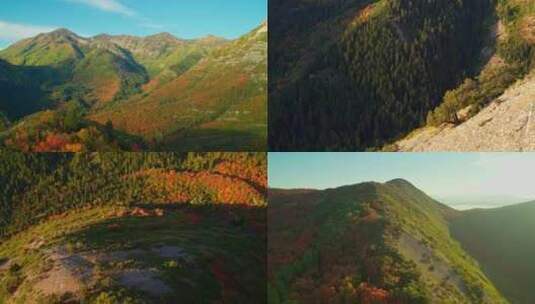 航拍秋季森林香山红叶山峰山脉山脊秋天森林高清在线视频素材下载