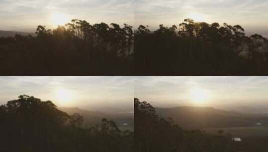 武功山的日出森林高清在线视频素材下载