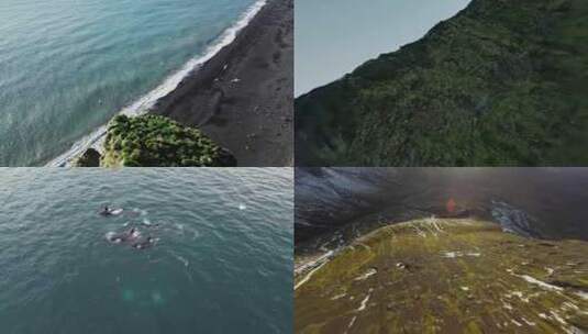 FPV无人机航拍大海森林海岛海鸟飞翔鲸鱼高清在线视频素材下载
