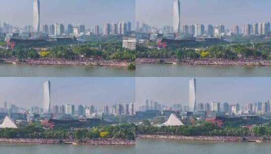 4K航拍深圳湾公园8高清在线视频素材下载