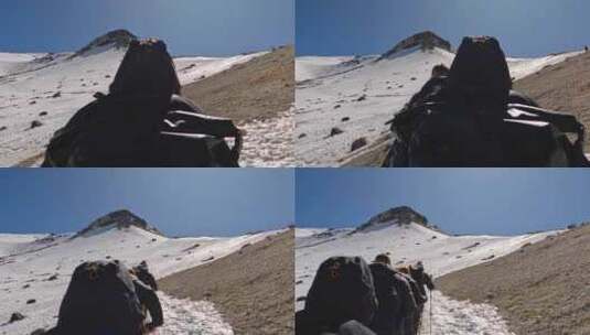 登山队攀登雪山高清在线视频素材下载