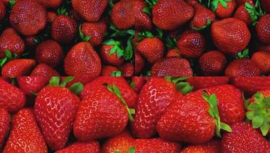新鲜的草莓特写镜头素材高清在线视频素材下载
