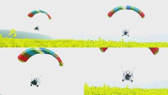 油菜花海滑翔机滑翔伞乡村旅游高清在线视频素材下载