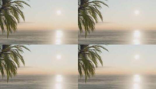 大海海边日出椰子树场景背景高清在线视频素材下载