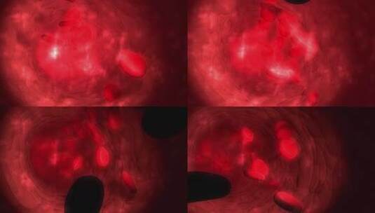 血液细胞 医学动画 细胞高清在线视频素材下载