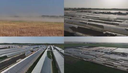 风灾后的蔬菜大棚损毁房屋倒塌极端天气高清在线视频素材下载