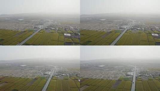 航拍大型农田种植地中国农业发展高清在线视频素材下载