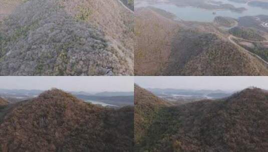 风景这边独好，大山里的原生态，治愈系风景高清在线视频素材下载