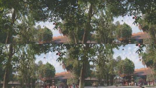昭觉寺树木前景移动大殿高清在线视频素材下载