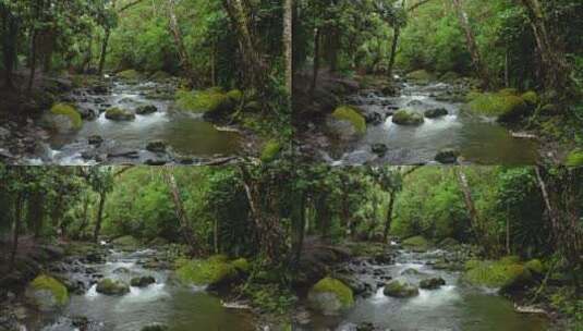 森林的河流高清在线视频素材下载