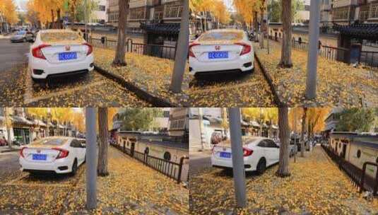 实拍秋叶飘落车上高清在线视频素材下载