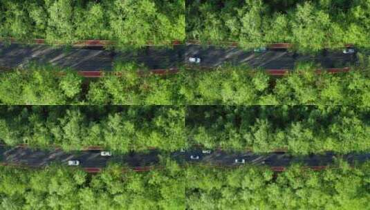 鸟瞰森林中的公路高清在线视频素材下载