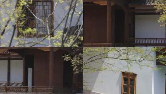 江南春天中式园林绿树庭院民居空镜合集高清在线视频素材下载