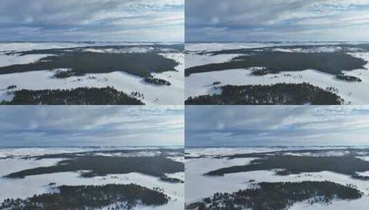 航拍呼伦贝尔生长樟子松的雪原高清在线视频素材下载