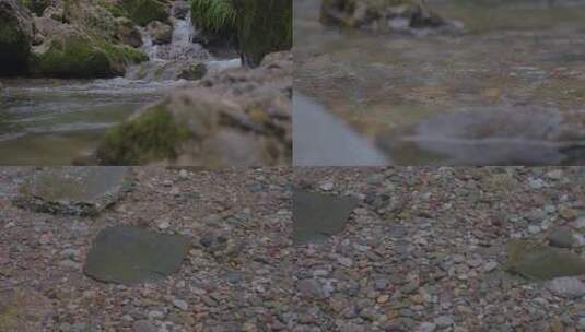 山间溪流小溪清澈见底高清在线视频素材下载