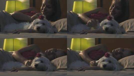 晚上睡觉的女人在床上抚摸狗高清在线视频素材下载