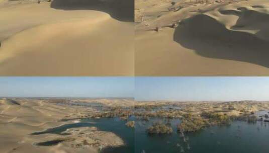 沙漠干旱荒芜绿洲西北甘肃 (2)高清在线视频素材下载