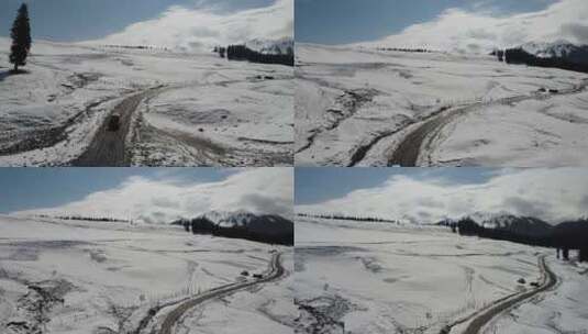新疆伊犁库尔德宁大气壮观雪山丛林景色高清在线视频素材下载