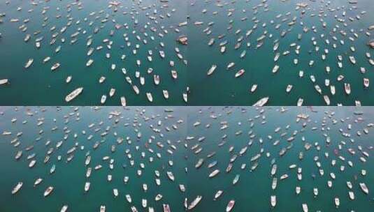 山东省青岛市盛世游艇码头航拍高清在线视频素材下载