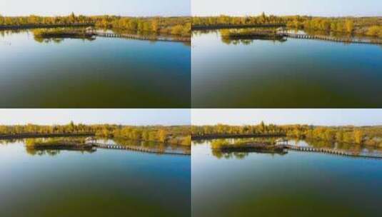 航拍湿地公园高清在线视频素材下载