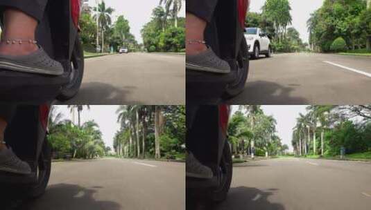 公路两侧的椰子树高清在线视频素材下载