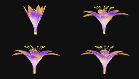 全息粒子花朵高清在线视频素材下载